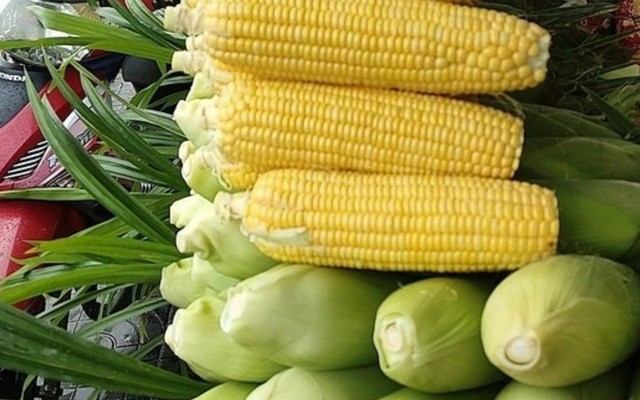 Trái Cây Cô Út - Kênh Tân Hóa