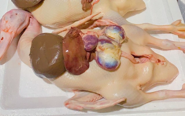 ANH GIÀU - Gà Vịt Sạch - TA22