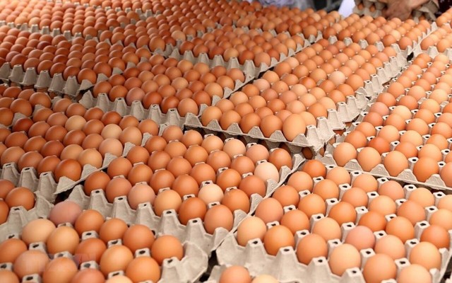 Thơ Diệu Market - Huỳnh Văn Nghệ