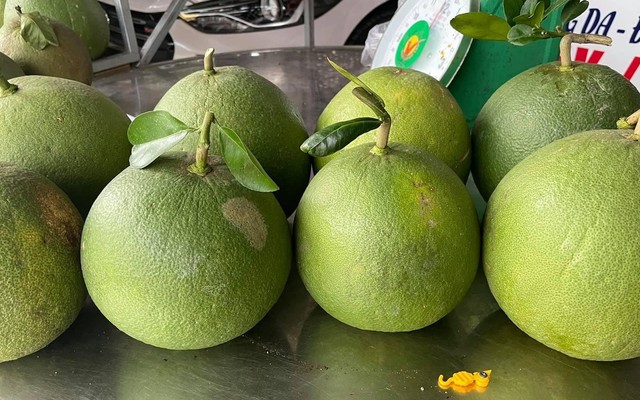 Bưởi Tân Triều - Phạm Văn Thuận