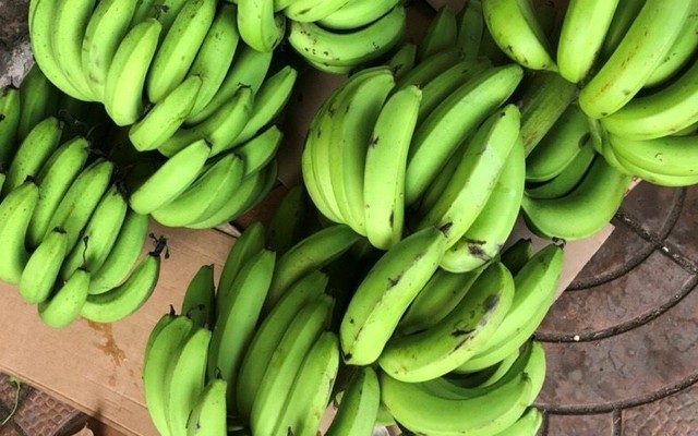 Bin Bin - Thực Phẩm Sạch - Mậu Thân