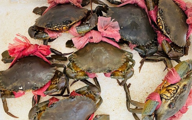 Thanh Thảo Food - Tôm Thẻ & Cua Biển