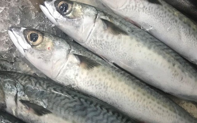 Bon Bon - Thực Phẩm Đông Lạnh - Lê Trọng Tấn