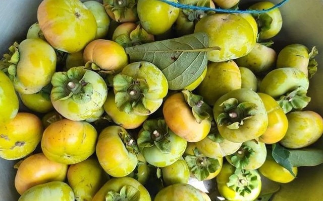 Mộc Châu - Rau Củ Quả Tươi Sạch