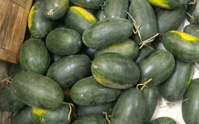 Fruit House - Trái Cây Nhiệt Đới