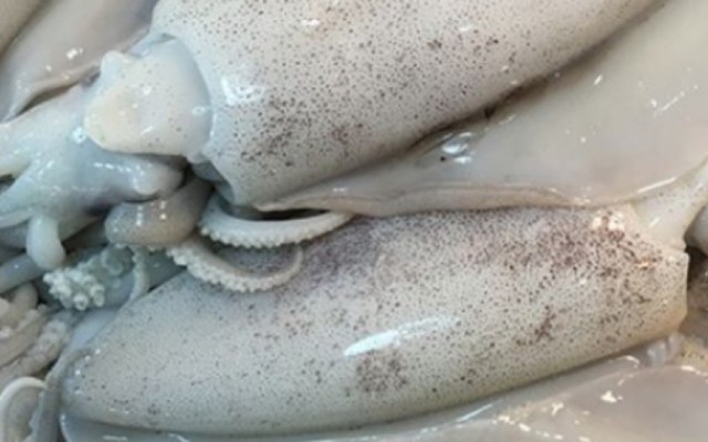 Hương Quê - Mực Lá & Cá Hường - Quốc Lộ 50