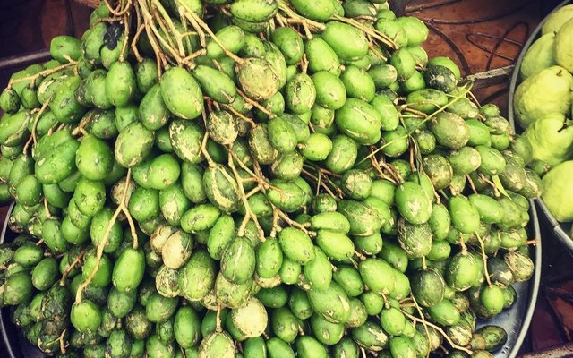 Vựa Trái Cây Vi Tường - Trái Cây Theo Mùa