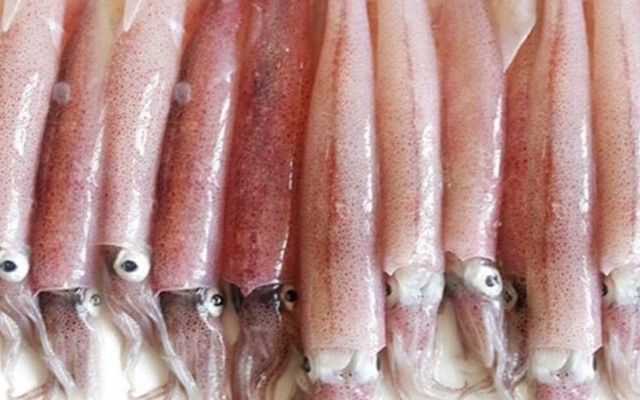 Phát Đạt Food - Mực tươi & Cánh Gà Tươi