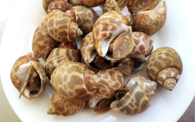Thực Phẩm Wingcha - Hồng Bàng