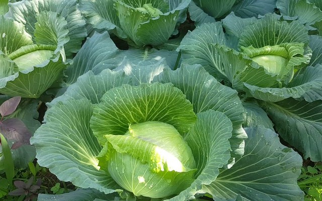 KMB Mart - Thực Phẩm An Toàn - Tây Sơn