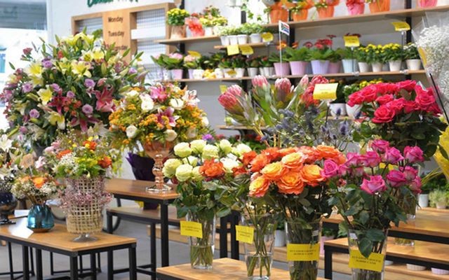 Dalat Hasfarm Nguyễn Thái Học - Shop Hoa Tươi