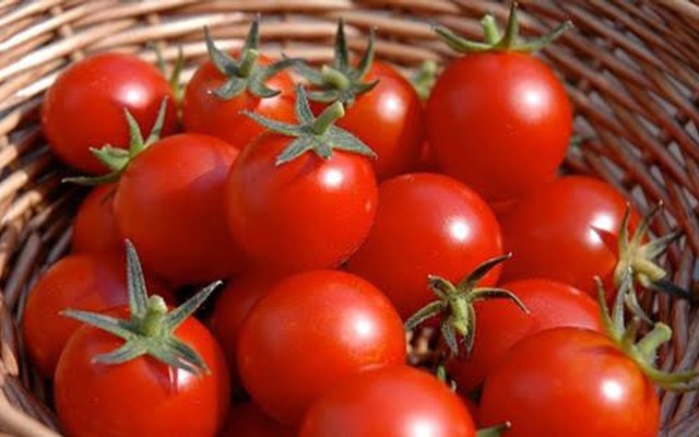 Pikachu - Trái Cây Tươi & Thực Phầm Sạch - Trần Thái Tông