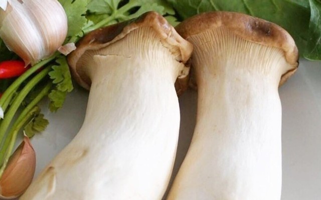Đò Rạch Cát Sau PTH - Nấm & Trái Cây Các Loại - Phạm Thế Hiển