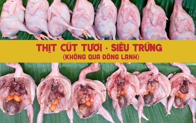 Sạp Tám Mập - Thịt Cút - Cư Xá Phú Lâm B