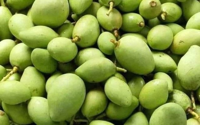 Shop Xoài Chua - Trái Cây Tươi