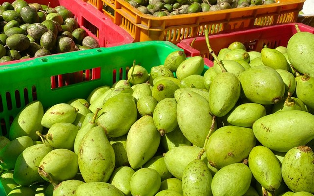 Tiemcuamin - Trái Cây - Dương Quảng Hàm