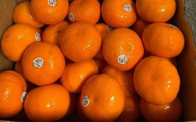 Quán Nhà Cô Cám - Trái Cây Tươi & Đặc Sản Bình Định - Trần Văn Ơn