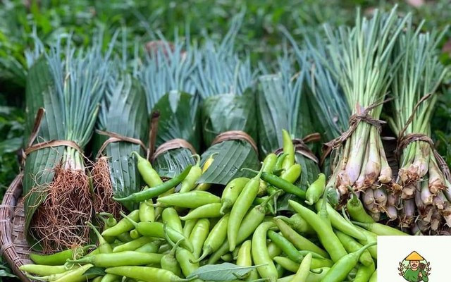 M&D' S Farm - Thái Phiên