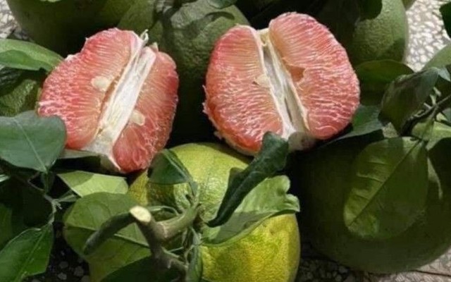 Bếp Mẹ Su - Nguyễn Văn Lượng