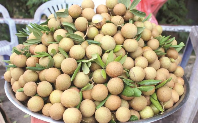 Trái Cây Các Loại - Chợ Online Sài Gòn