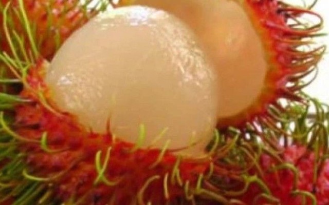 Ken Trần Trái Cây Tươi - Nguyễn Hữu Thọ