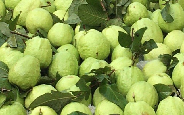 Bin Bin - Trái Cây Tươi - Nam Hoà