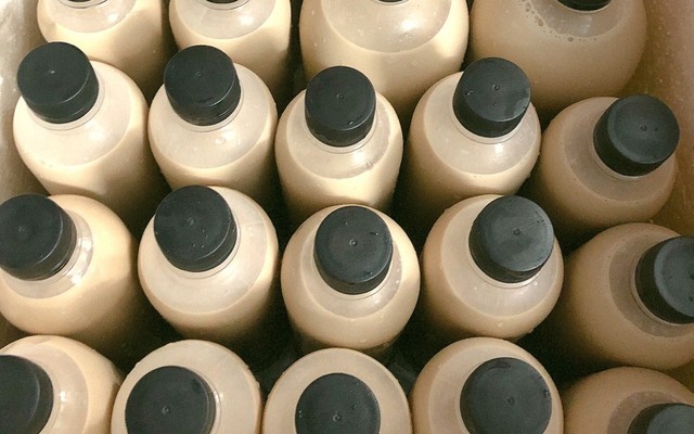 Trà Sữa - Bé Mèo