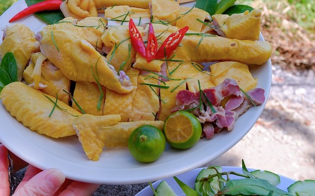 Thảo Lee - Gà Ủ Muối Thái Nguyên