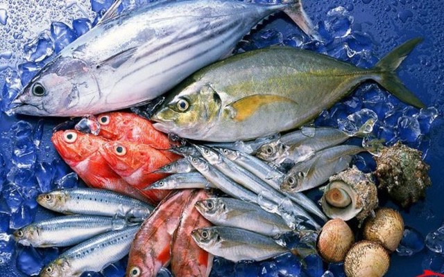 Duy Hải Sản - Cá Biển Tươi & Mực Tươi