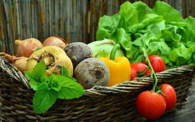 Cửa Hàng Rau Củ Sạch - An Thượng 30