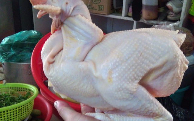 Gà Ta & Vịt Tươi Sống Tam Kỳ 18 - Bùi Văn Hòa