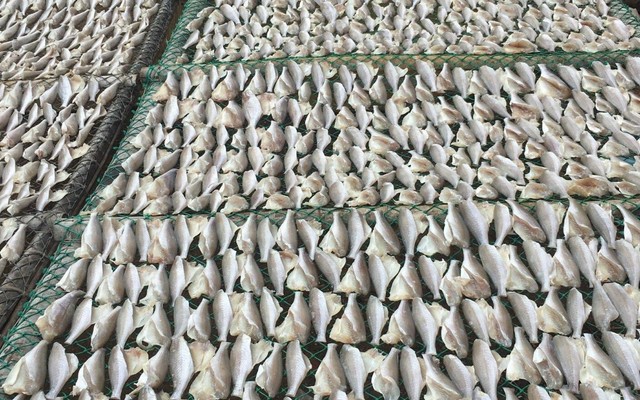 Đặc Sản Một Nắng Cần Giờ Ngon Không Chang - Bùi Đình Túy