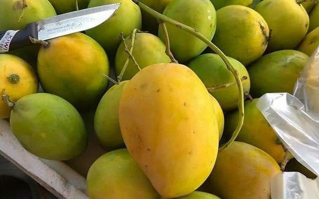 Mỹ Hoa - Trái Cây Tươi Đà Nẵng