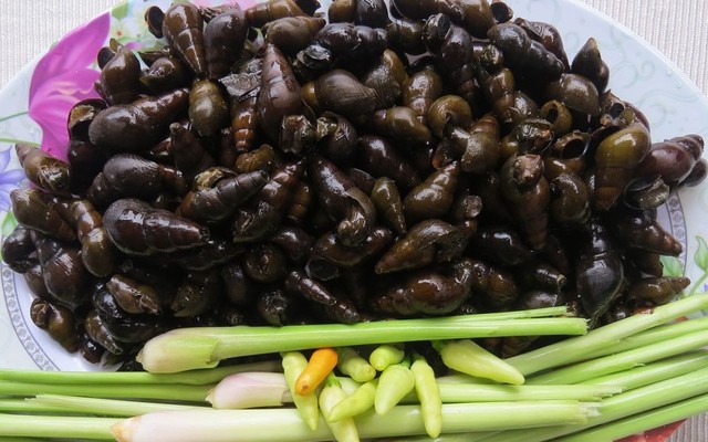 Hiếu - Ốc Tươi Sống Hồ Tây - Thụy Khuê