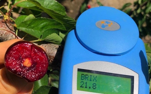 EVE Fruits Chuyên Trái Cây Nhập Khẩu - Trái Cây - 354/46 Lý Thường Kiệt