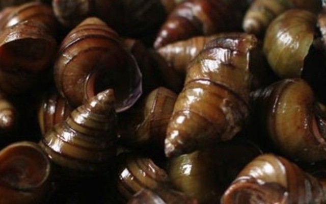 Ốc Đức Anh - Ốc & Đồ Ăn Vặt