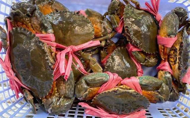 Hải Sản Dâu Tây - Hồ Hoà