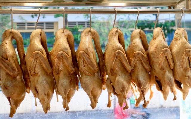 Hà Vịt - Vịt Cỏ Vân Đình & Thịt Heo