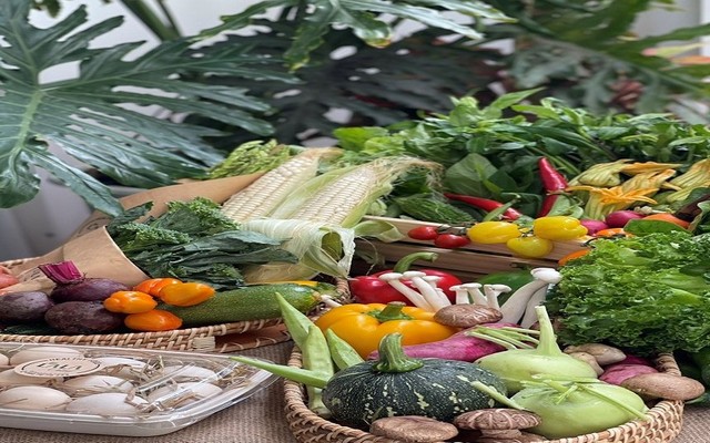 Lalabox - Healthy Food Eat Clean