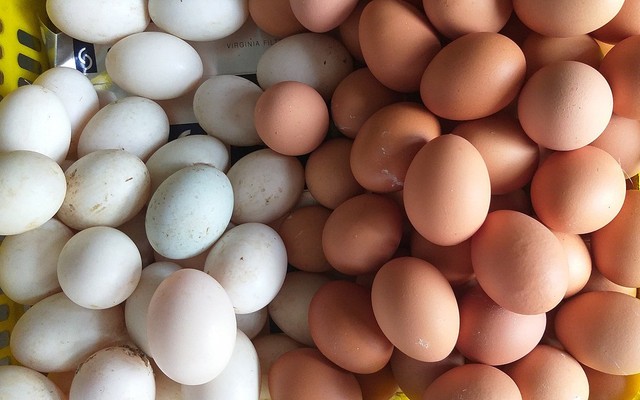 Tạp Hoá Oshi 404 - Phan Văn Trị