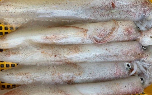 Hải Sản Phú Yên Sông Cầu - Chợ Cây Sộp