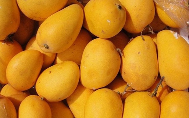 Hoa Qua Ba Miền - Đông Quan