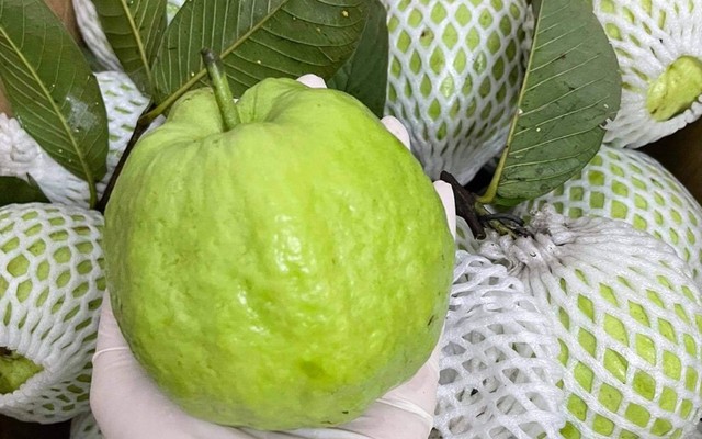 ST - Trái Cây & Ăn Vặt - Trường Sa