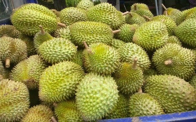 Cửa Hàng Sầu Riêng Bao Ăn - Hoà Hưng