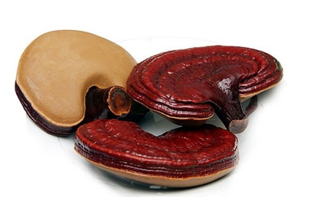 Vườn Nấm Sơn Trà - Lê Văn Lương