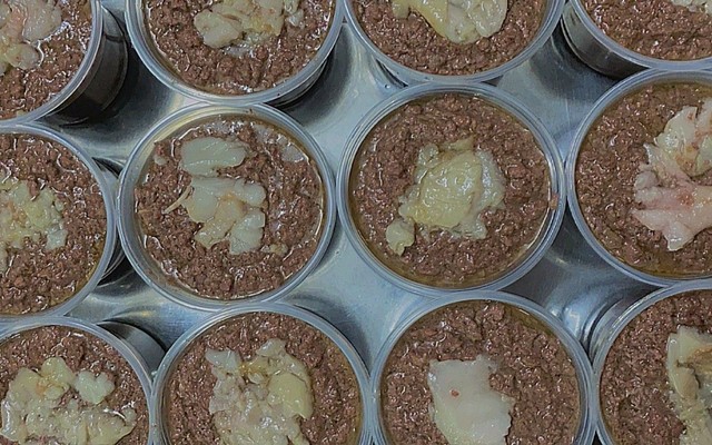 Bánh Mì Pate 588 - Huỳnh Tấn Phát