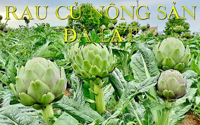 Rau Củ - Cửa Hàng Nông Sản Đà Lạt