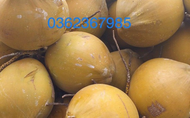 Vựa Trái Cây XG - Đình Phong Phú