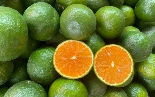 Vườn Nhà Mart - Hà Bổng