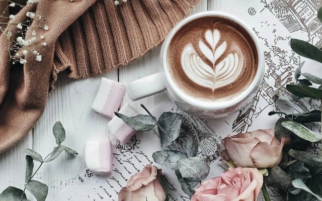 CACAO MI - Thế Giới Cacao - Song Hành